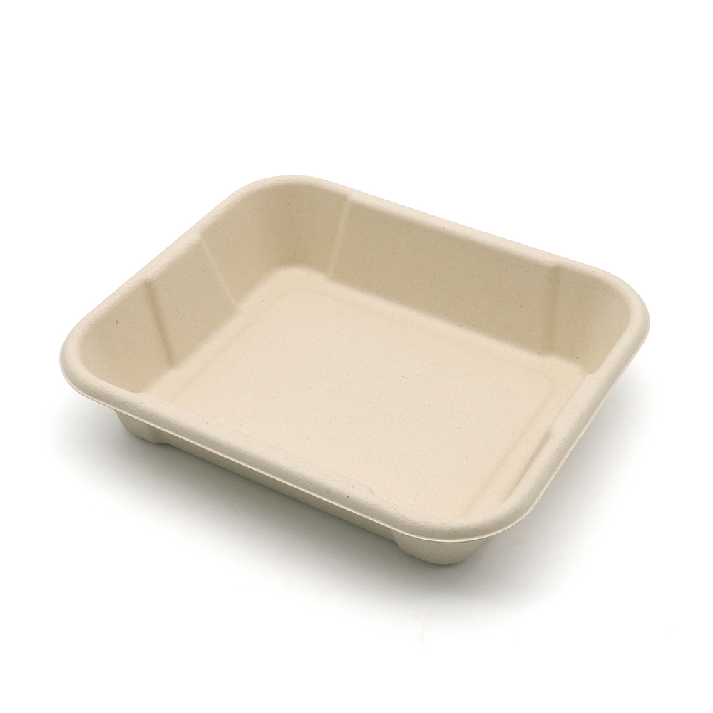 8.5"x7.3"xH1.8" 24g Bagasse Compostable Party Meal Tray Container with Lid