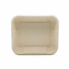 8.5"x7.3"xH1.8" 24g Bagasse Compostable Party Meal Tray Container with Lid