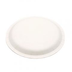 [Print on Demand] 350g White Cardboard Unprinted Paper Plate for Spiderman Event