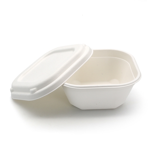 500ml 5.91"x5.91"xH2.56" 20g Sugarcane Bagasse Compostable To Go Containers for Meal