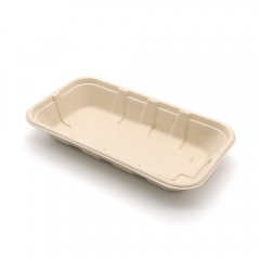 8.5"x4.7"x1.3" Bagasse Compostable Fresh Veggie Fruit Tray Party