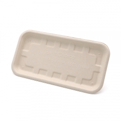 8.3"x4.3"x0.5" Bagasse Compostable Fresh Fruit Veggie Platter for Party