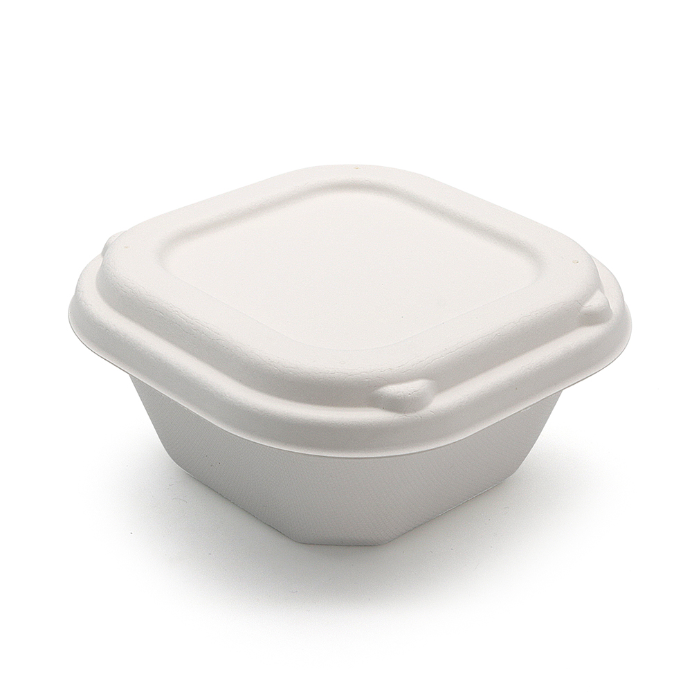 500ml 5.91"x5.91"xH2.56" 20g Sugarcane Bagasse Compostable To Go Containers for Meal