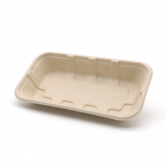 8.5"x4.7"x1.3" Bagasse Compostable Fresh Veggie Fruit Tray Party