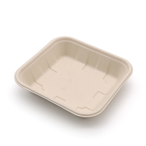 6"x5.7"x1.3" Bagasse Compostable Platter Tray for Fresh Fruit Vegetable