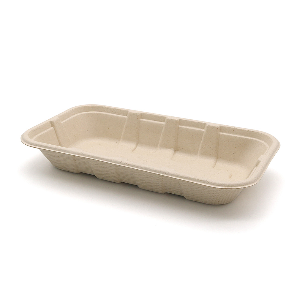 8.5"x4.7"x1.3" Bagasse Compostable Fresh Veggie Fruit Tray Party