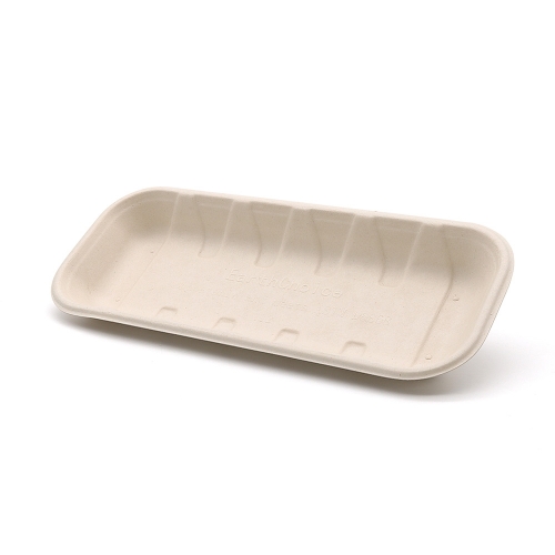 10.4"x4.3"x1" Bagasse Compostable Mixed Fresh Fruit Tropical Vegetable Tray