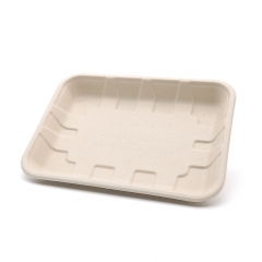 9"x6.7"x1" Bagasse Compostable Fruit Veggie Platter Tray