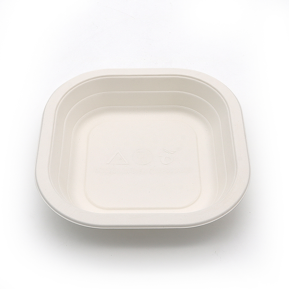 580ml 20oz 6.93"x6.93"xH1.54" 13g Bagasse Compostable Disposable Meal Trays for Supermarket