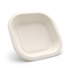 580ml 20oz 6.93"x6.93"xH1.54" 13g Bagasse Compostable Disposable Meal Trays for Supermarket