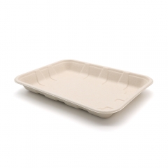 9"x6.7"x1" Bagasse Compostable Fruit Veggie Platter Tray