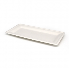 8.6"x3.5"x0.8" 10g Bagasse Compostable Sushi Serving Platter Tray