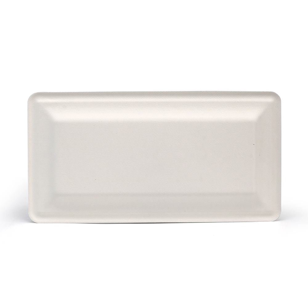 8.6"x3.5"x0.8" 10g Bagasse Compostable Sushi Serving Platter Tray