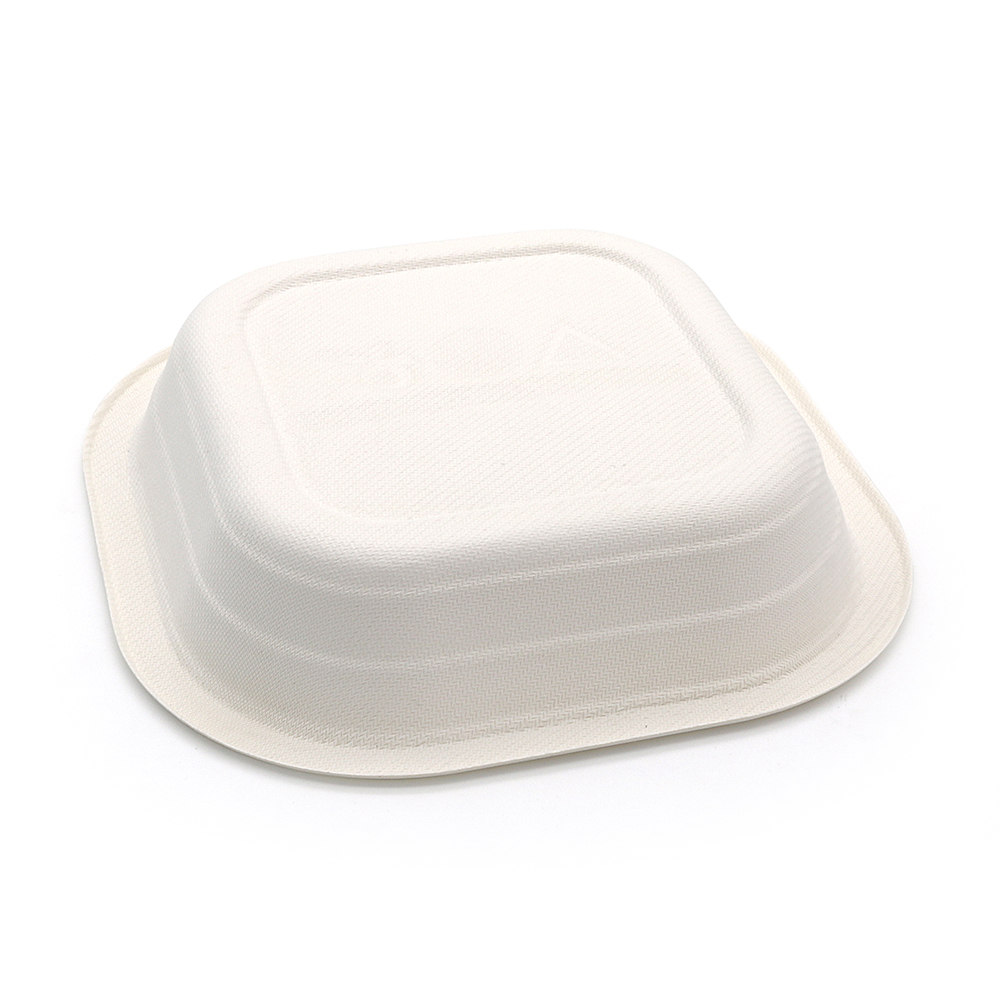 580ml 20oz 6.93"x6.93"xH1.54" 13g Bagasse Compostable Disposable Meal Trays for Supermarket