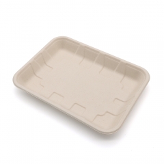 9"x6.7"x1" Bagasse Compostable Fruit Veggie Platter Tray