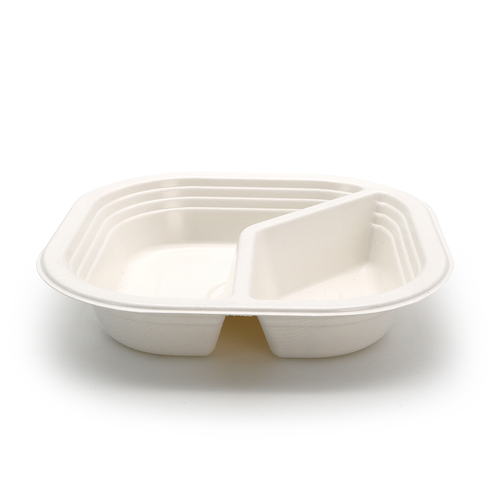 580ml 20oz 6.93"x6.93"xH1.54" 13g 2-Comp Bagasse Biodegradable Compostable Disposable Food Tray