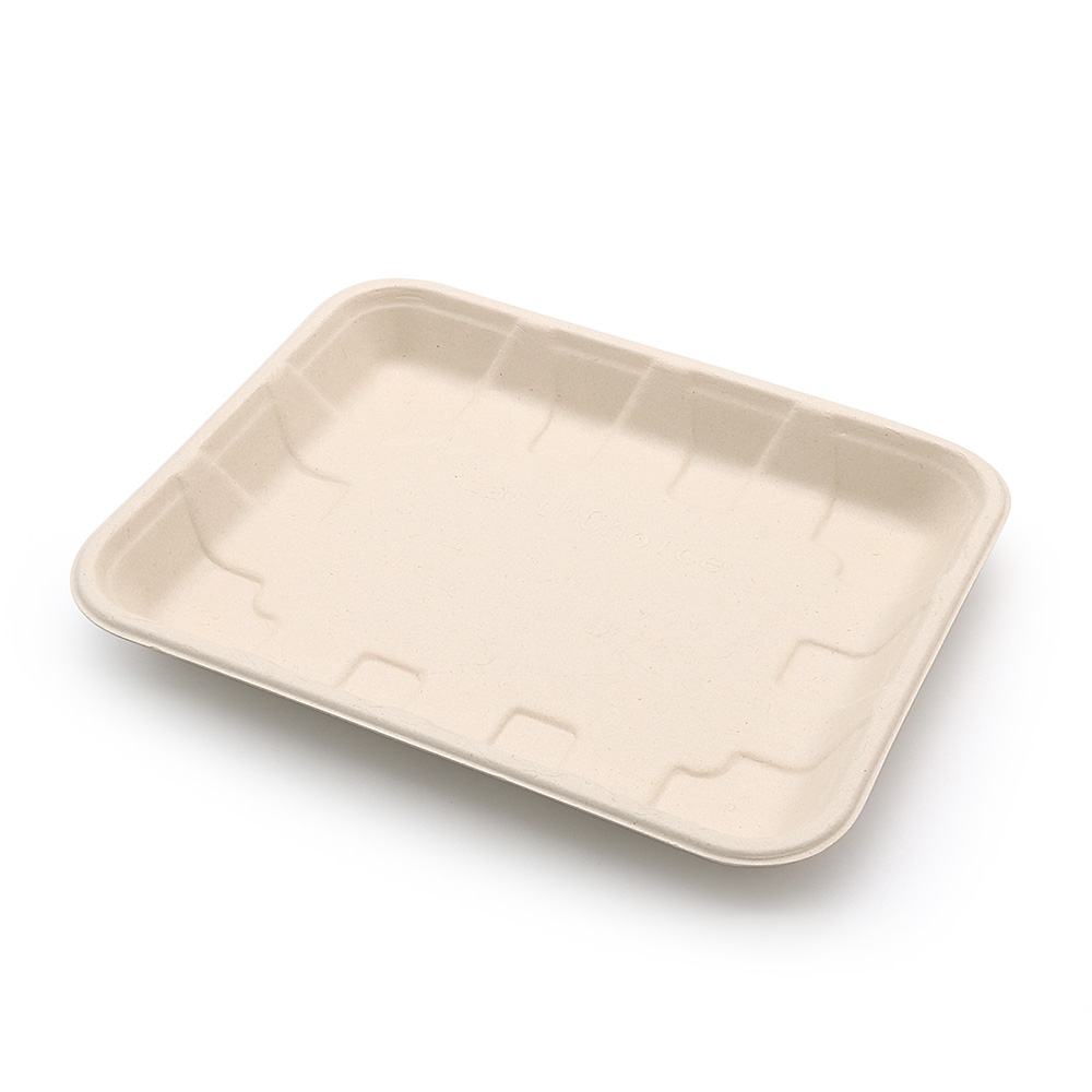 9"x7.3"x0.98" Bagasse Compostable Eco Friendly Fresh Vegetable Platter Tray