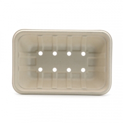 7.3"x4.8"x1.4" Bagasse Compostable Eco Friendly Fresh Food Packaging Tray