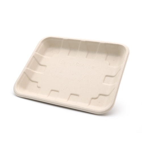 9"x7.3"x0.98" Bagasse Compostable Eco Friendly Fresh Vegetable Platter Tray