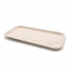 9.4"x5"x0.5" Bagasse Compostable Large Fresh Veggie Fruit Plate Tray for Party