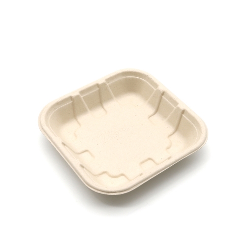 5"x5"x0.9" Bagasse Compostable Assorted Fruit Tray