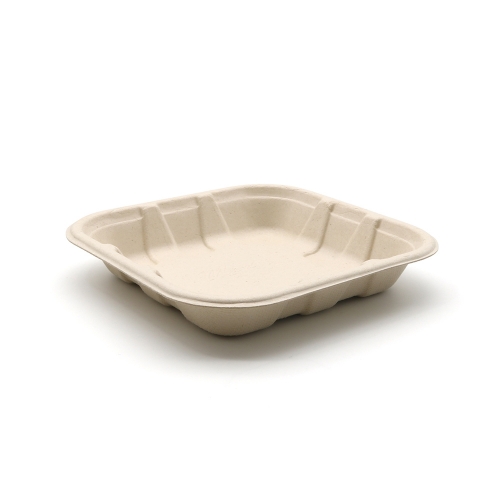 5"x5"x0.9" Bagasse Compostable Assorted Fruit Tray