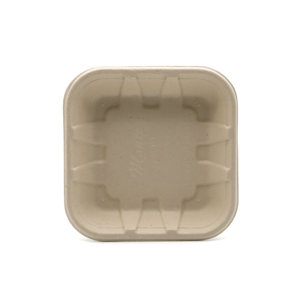 5"x5"x0.9" Bagasse Compostable Assorted Fruit Tray