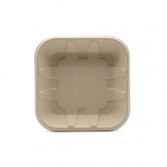 5"x5"x0.9" Bagasse Compostable Assorted Fruit Tray