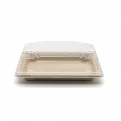 8.4"x5.3"x0.8" 14g Bagasse Compostable Fancy Big Sushi Tray