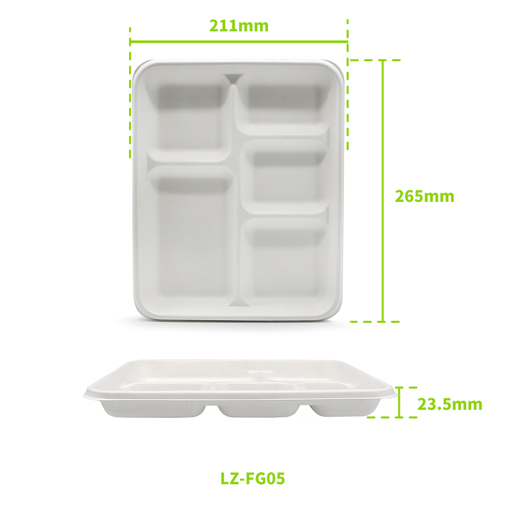 Bagasse Rectangular Food Container (Food Tray Range 4)