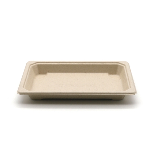 7.2"x5"x0.8" 11g Bagasse Compostable Large Sushi Tray Plate