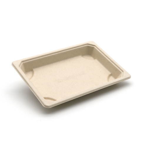 7.2"x5"x0.8" 11g Bagasse Compostable Large Sushi Tray Plate