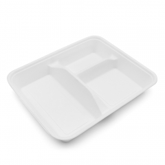 3cp 9.29"x7.87"xH1.50" 22g Bagasse Compostable Lunch Tray with Lid