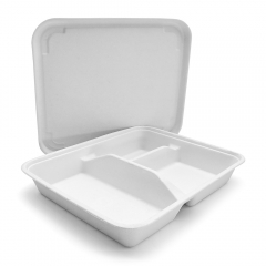 3cp 9.29"x7.87"xH1.50" 22g Bagasse Compostable Lunch Tray with Lid