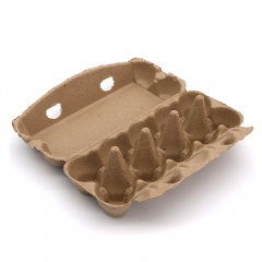 10 Egg 9.45"x4.41"x2.76" (Fold) 55g Bagasse Compostable Eco Egg Packaging Box Paper