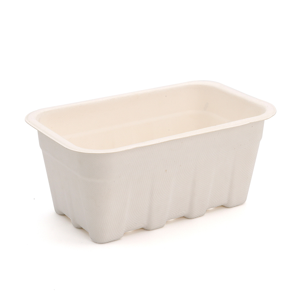 7.20"x4.49"x3.15" 22g Bagasse Compostable Eco Mixed Fruit Tray for Party