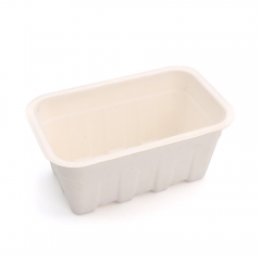 7.20"x4.49"x3.15" 22g Bagasse Compostable Eco Mixed Fruit Tray for Party