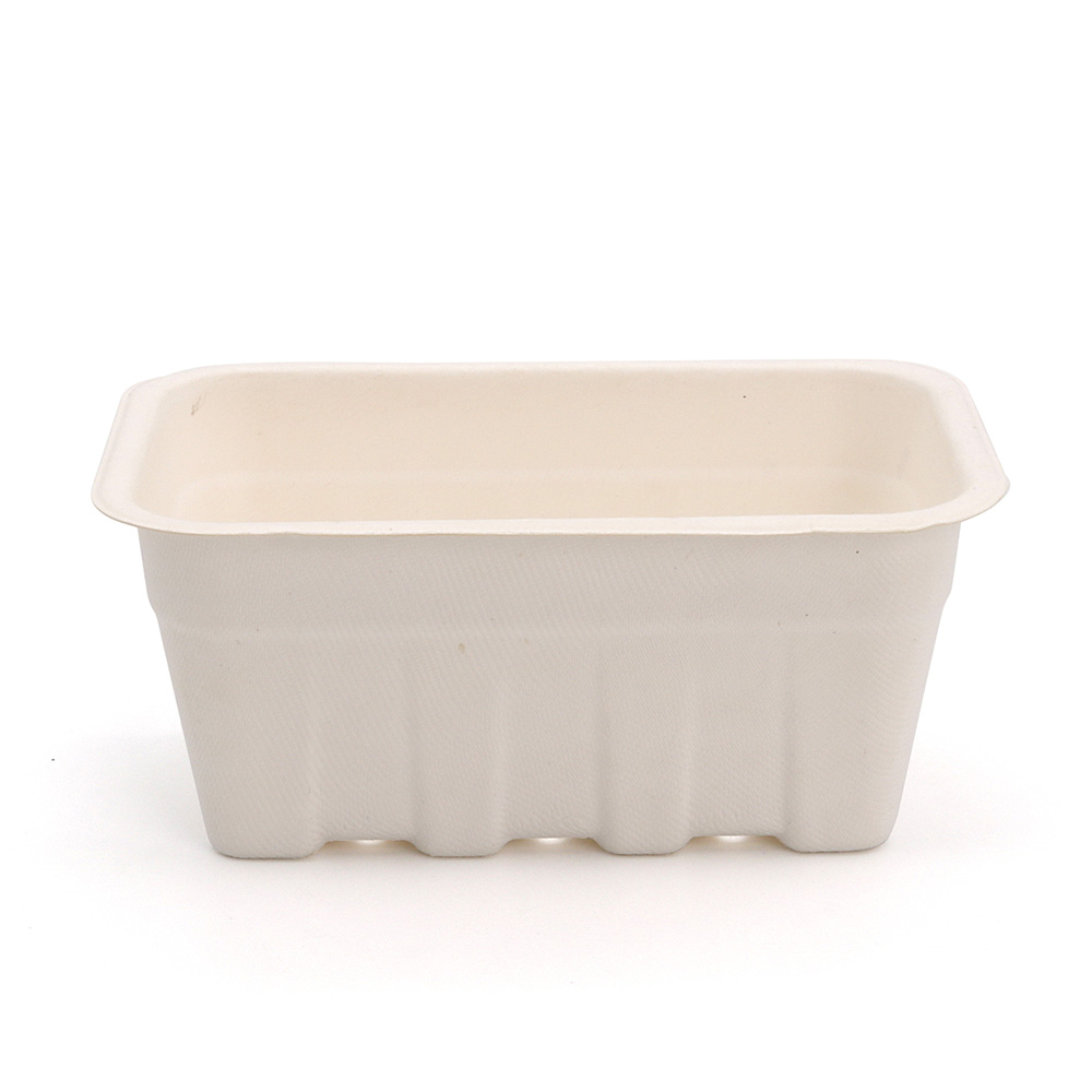 7.20"x4.49"x3.15" 22g Bagasse Compostable Eco Mixed Fruit Tray for Party