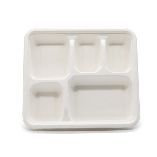 5-Comp 9.76"x8.74"xH1.65" 73g Bagasse Compostable Large Lunch Packaging Tray with Lid