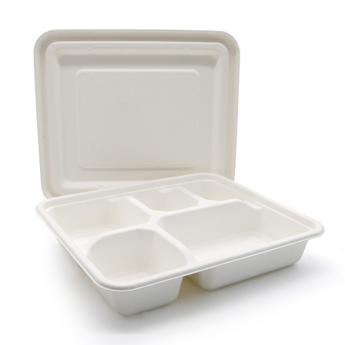 Biodegradable 5 Compartments Meal Disposable Sugarcane Bagasse Lunch T –  Fastfoodpak