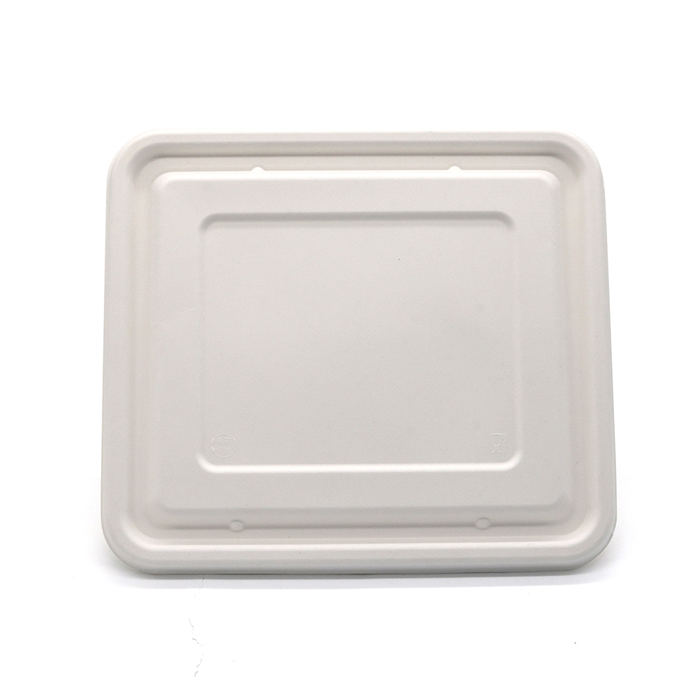 5-Comp 9.76"x8.74"xH1.65" 73g Bagasse Compostable Large Lunch Packaging Tray with Lid
