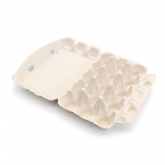 Egg Carton