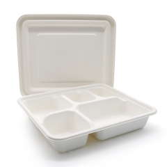 Biodegradable Bagasse Food Trays