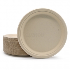 Biodegradable Bagasse Plates