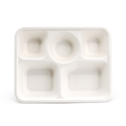 5 Compartment 10.55"x7.91"xH1.59" 63g Bagasse Compostable Paper Lunch Tray with Lid