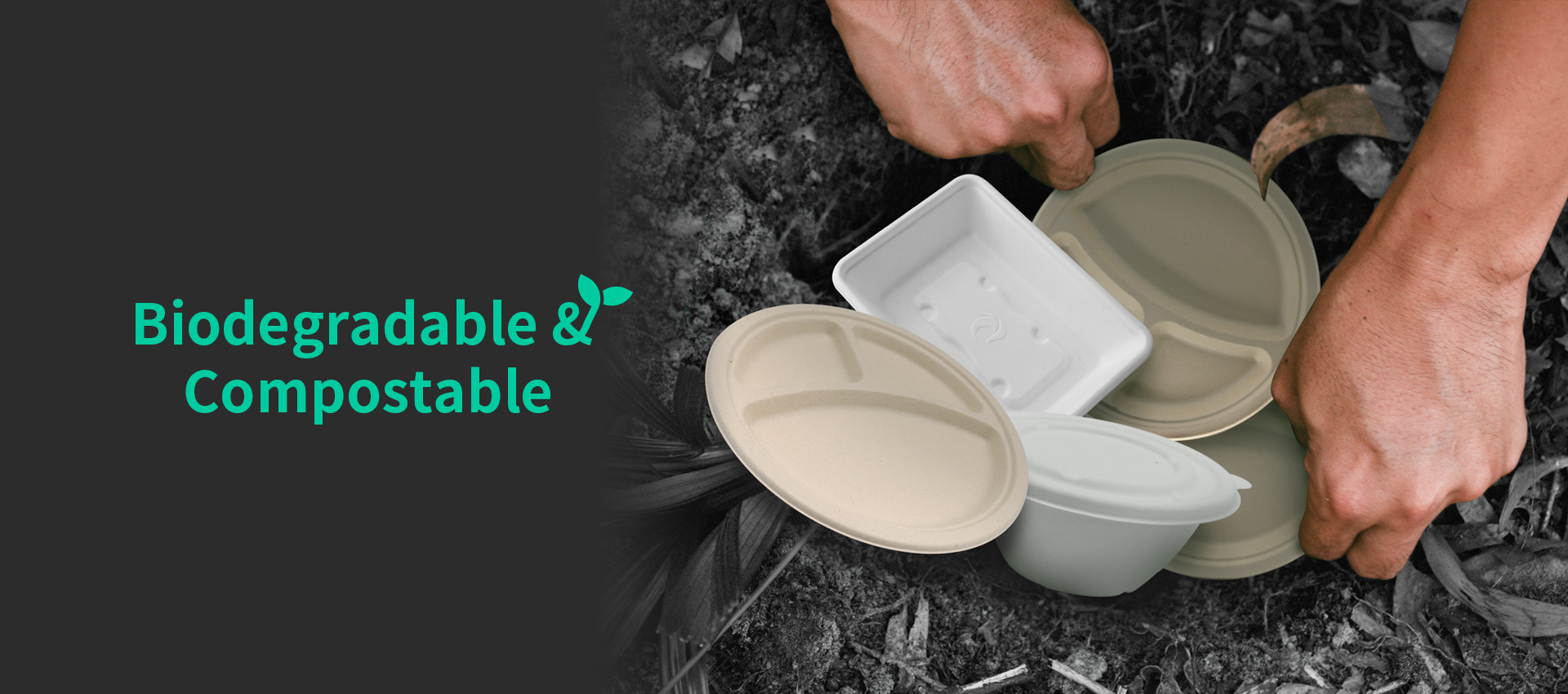 Biodegradability & Compostability