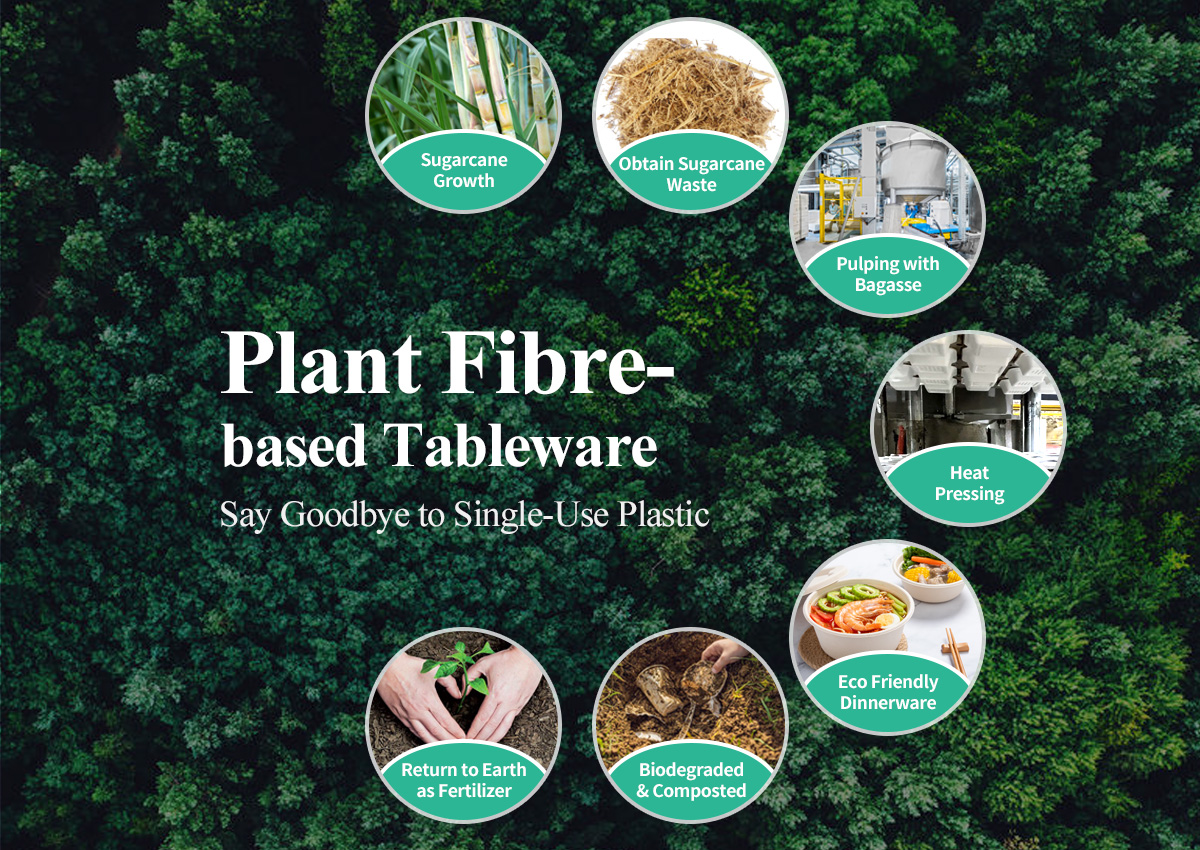 sustainability of plant fibre tableware