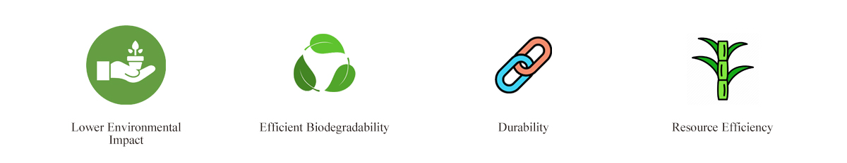 The Advantage of Sugarcane Bagasse as Raw Material