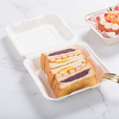 900ml 7.99"x7.99"xH2.48" (Fold) 31g Bagasse Compostable Food Eco Take Out Container Box Paper