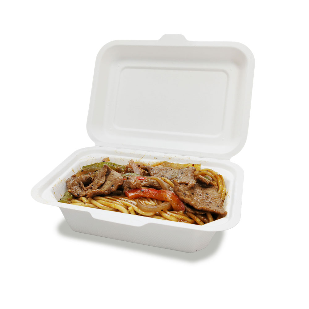 600ml 7.17x5.35xH2.68" (Fold) 20g Bagasse Compostable Takeaway Small Disposable Food Box